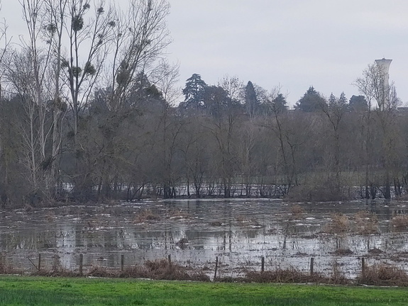 Photo du jour - 12 janvier 2024