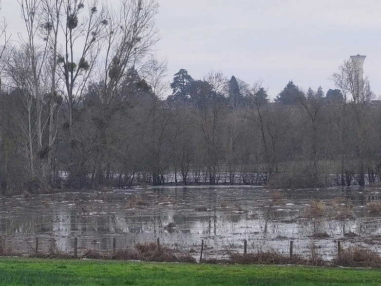 Photo du jour - 12 janvier 2024