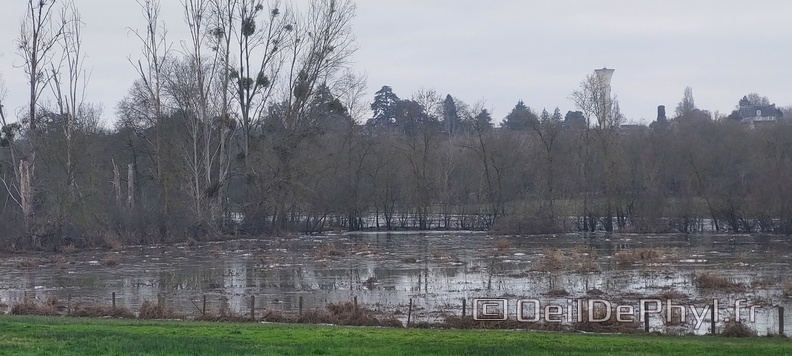 Photo du jour - 12 janvier 2024.jpg
