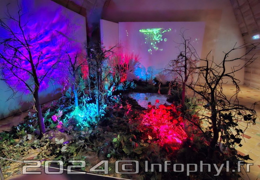 ChateauAngers-2024-10