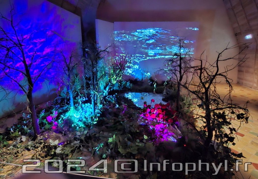 ChateauAngers-2024-09