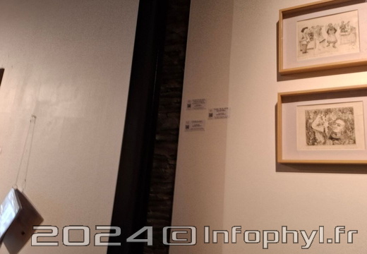 Espace d’art contemporain - Frida Kahlo