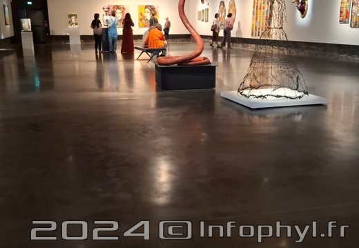 Espace d’art contemporain - Frida Kahlo