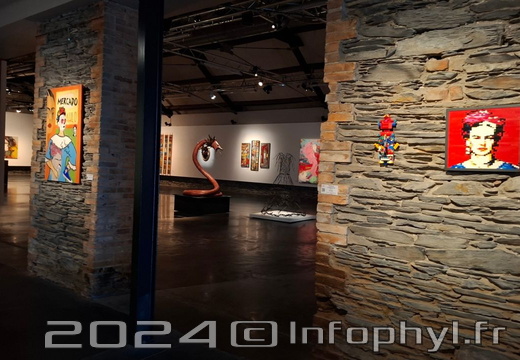 Espace d’art contemporain - Frida Kahlo