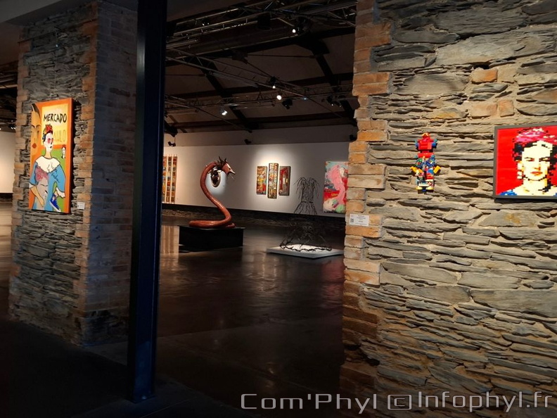 Espace d’art contemporain - Frida Kahlo