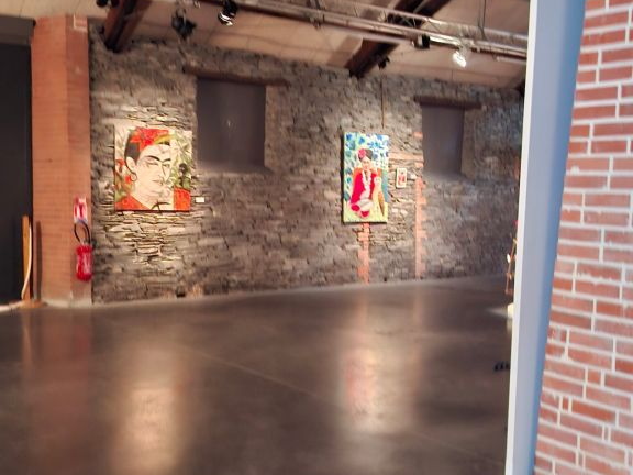 Espace d’art contemporain - Frida Kahlo