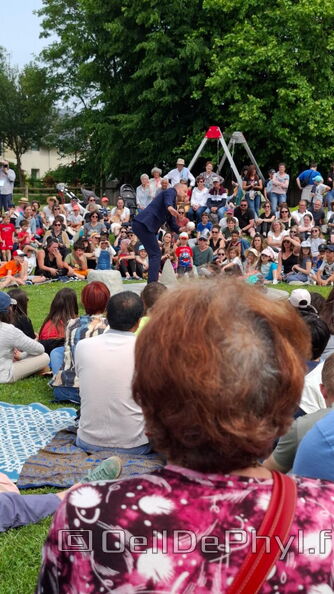 Comphyl-Festival-Anjou Loir-Sarthe-03.jpg