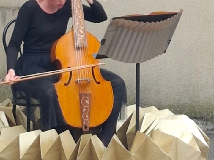 Festival Anjou Loir Sarthe - 6