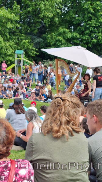 Comphyl-Festival-Anjou Loir-Sarthe-02.jpg