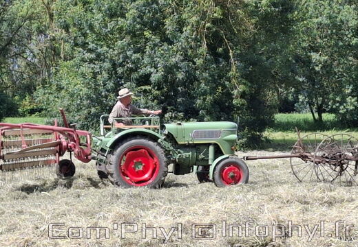 FeteDesFoins-2024-32