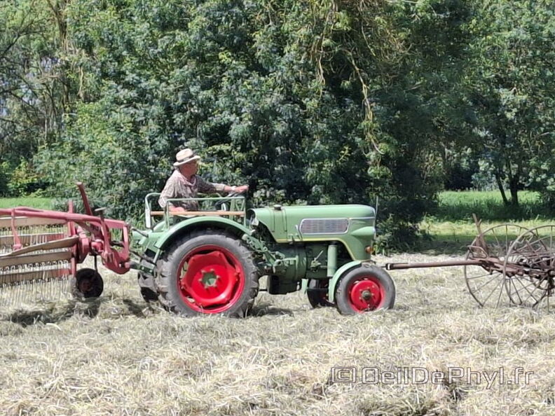 FeteDesFoins-2024-32