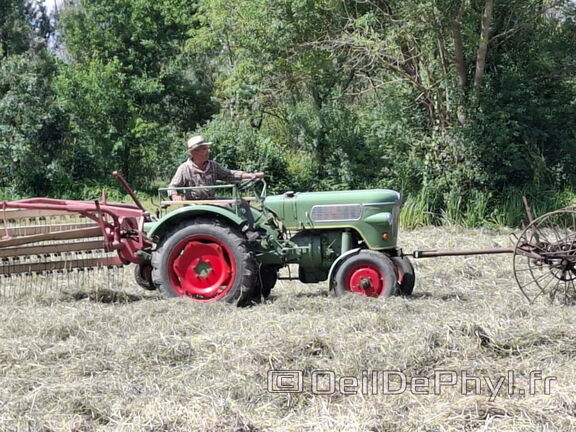 FeteDesFoins-2024-33