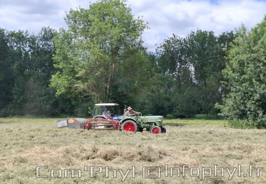 FeteDesFoins-2024-21