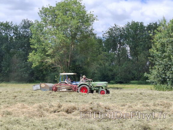 FeteDesFoins-2024-21