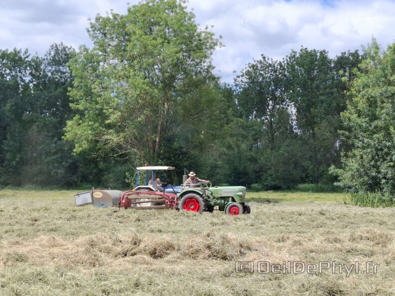 FeteDesFoins-2024-21