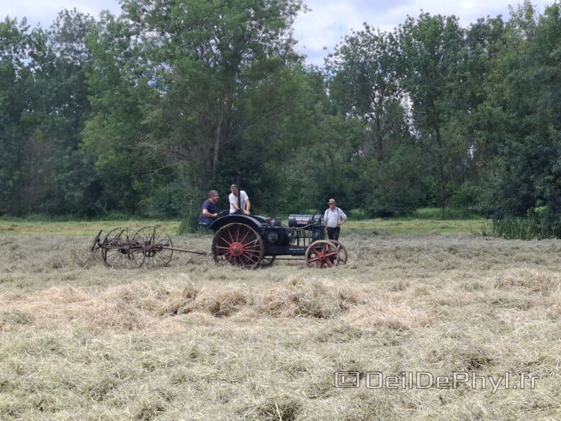 FeteDesFoins-2024-22