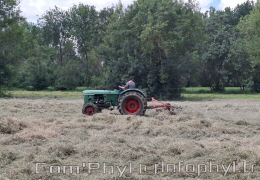 FeteDesFoins-2024-24