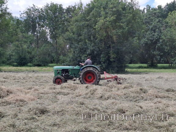 FeteDesFoins-2024-24