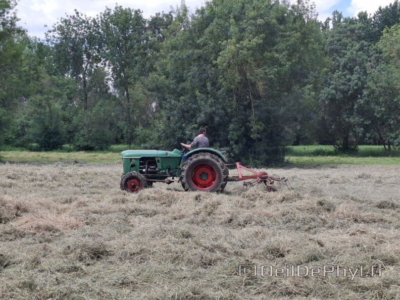 FeteDesFoins-2024-24