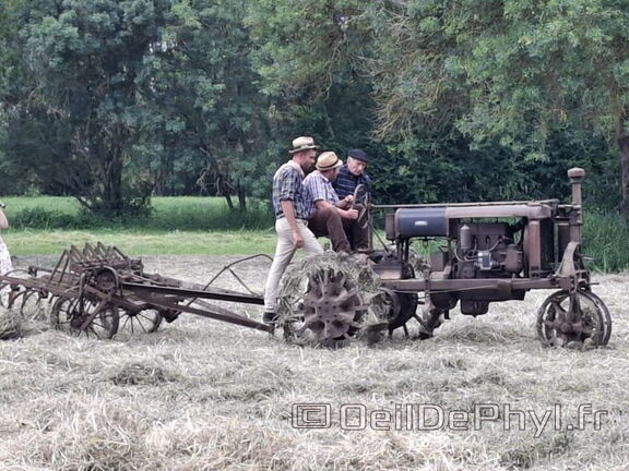 FeteDesFoins-2024-27