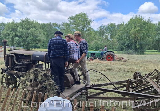 FeteDesFoins-2024-28