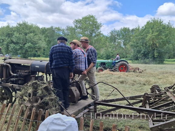 FeteDesFoins-2024-28