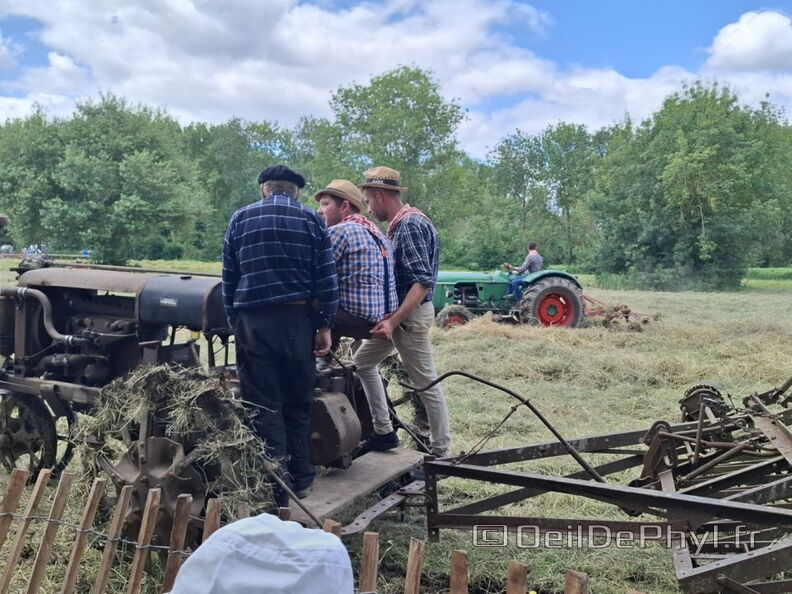 FeteDesFoins-2024-28