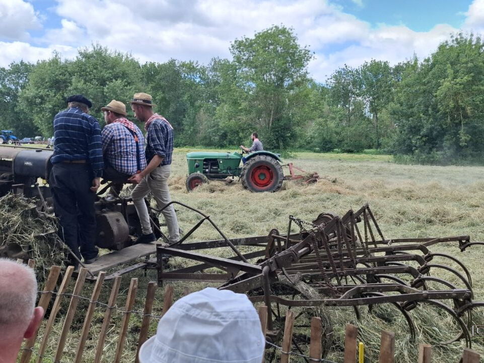 FeteDesFoins-2024-29