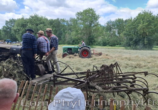 FeteDesFoins-2024-29