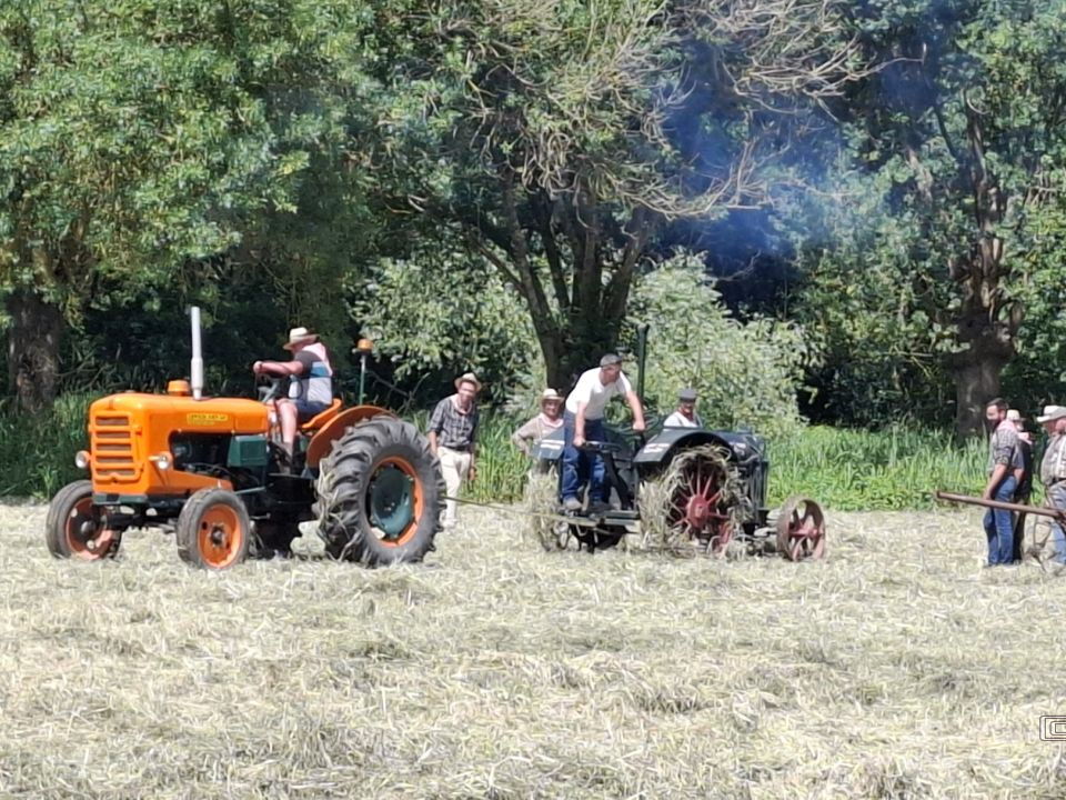 FeteDesFoins-2024-30