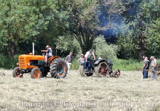 FeteDesFoins-2024-30