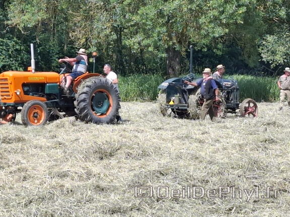 FeteDesFoins-2024-31