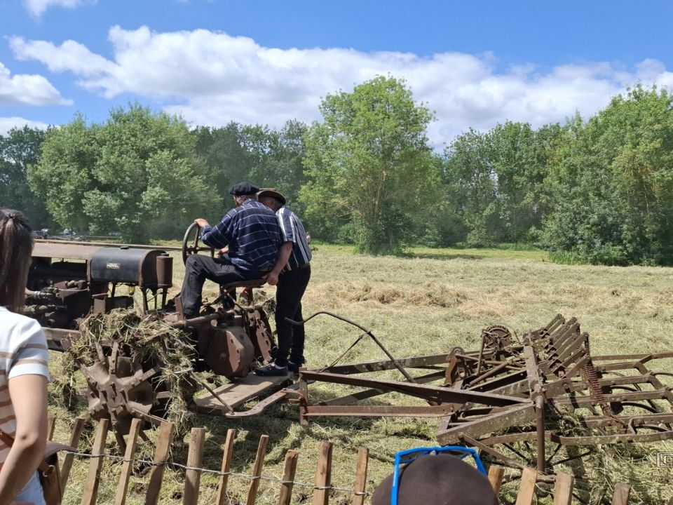 FeteDesFoins-2024-20