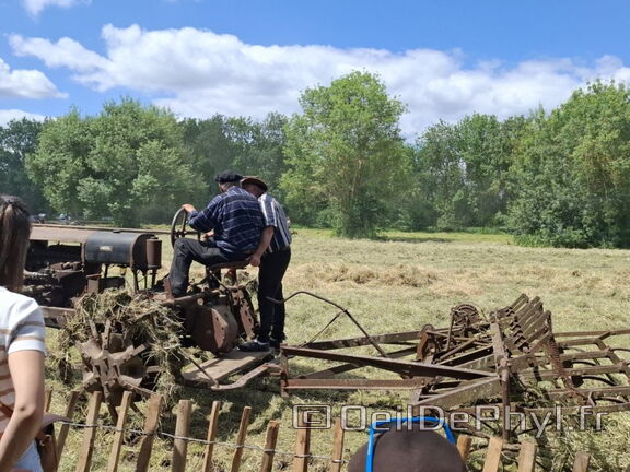 FeteDesFoins-2024-20