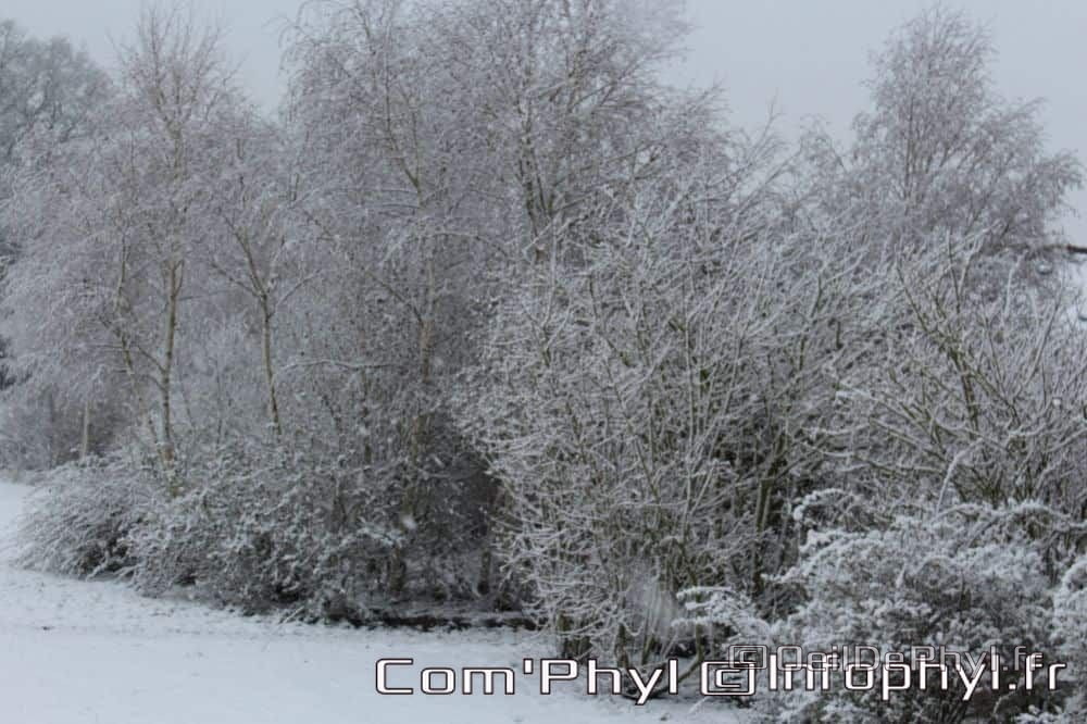 Pdj : 07 février 2018 - Neige