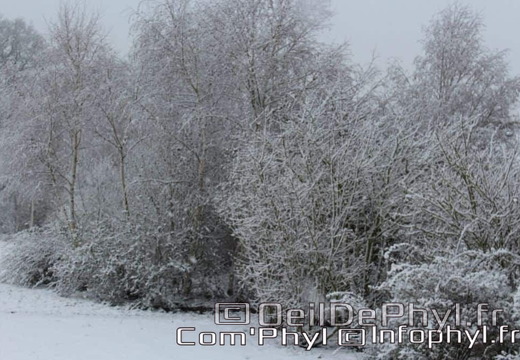Pdj : 07 février 2018 - Neige