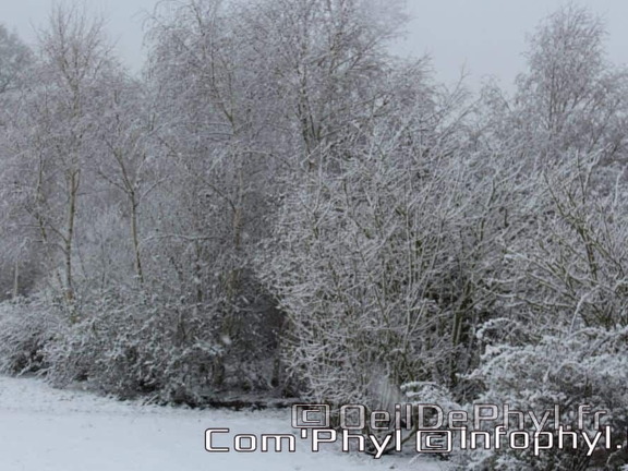 Pdj : 07 février 2018 - Neige