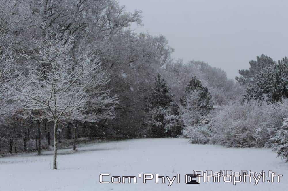 Pdj : 07 février 2018 - Neige