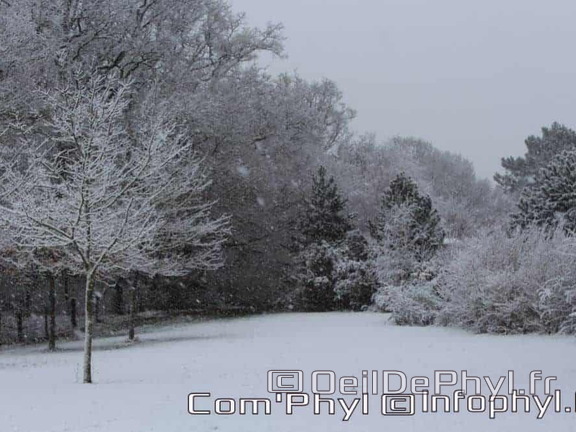 Pdj : 07 février 2018 - Neige