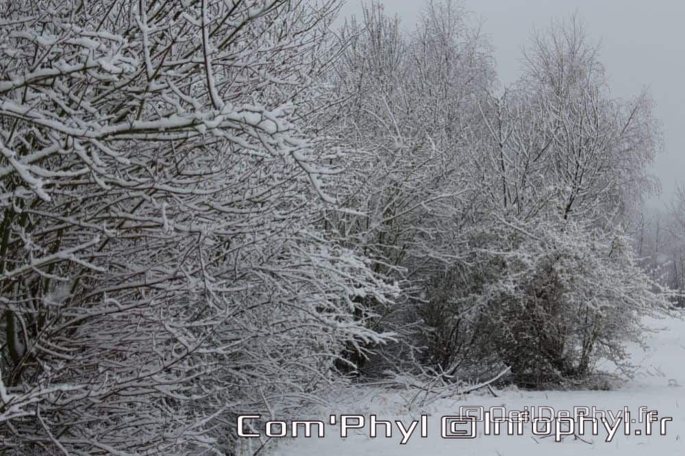 Pdj : 07 février 2018 - Neige