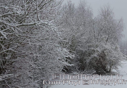 Pdj : 07 février 2018 - Neige