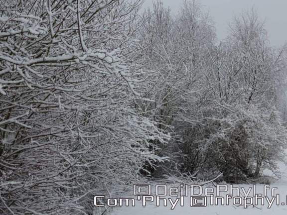 Pdj : 07 février 2018 - Neige