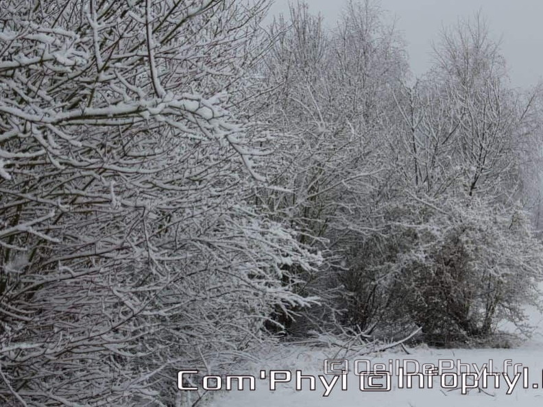 Pdj : 07 février 2018 - Neige