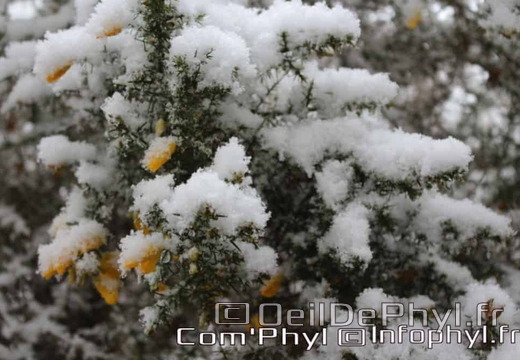 Pdj : 07 février 2018 - Neige