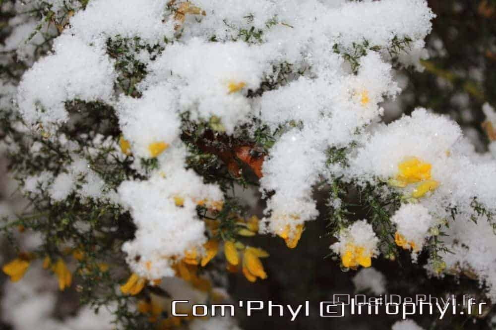 Pdj : 07 février 2018 - Neige