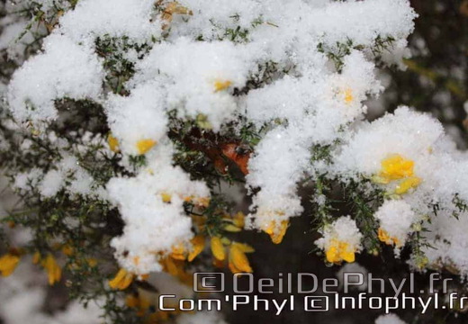 Pdj : 07 février 2018 - Neige