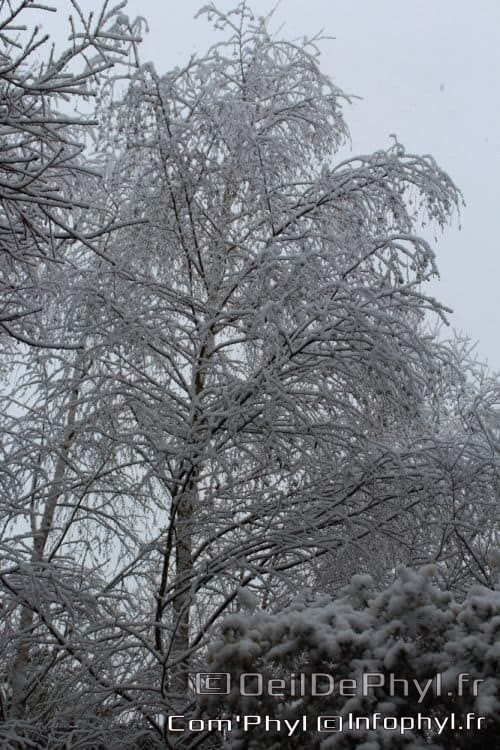 Pdj : 07 février 2018 - Neige