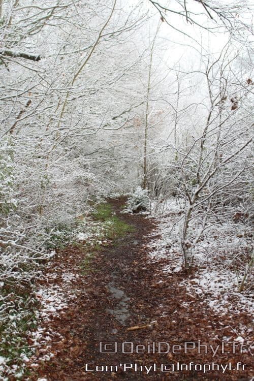 Pdj : 07 février 2018 - Neige