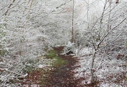 Pdj : 07 février 2018 - Neige