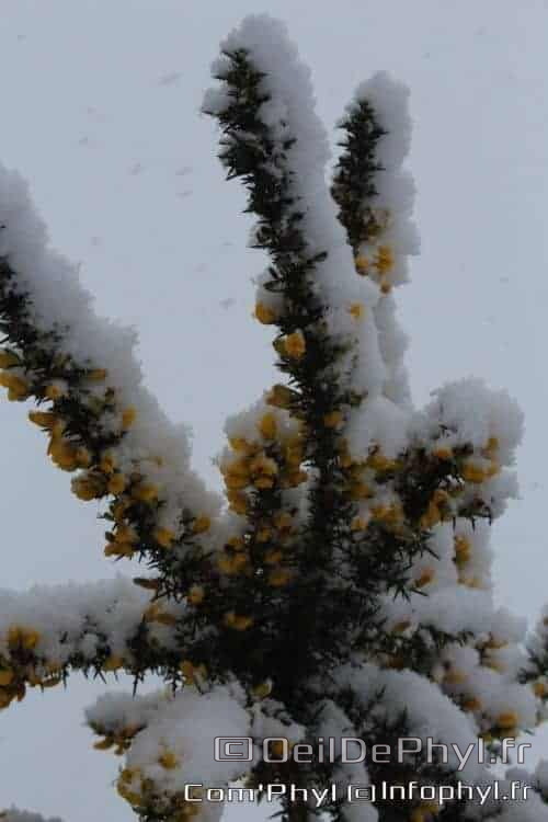 Pdj : 07 février 2018 - Neige